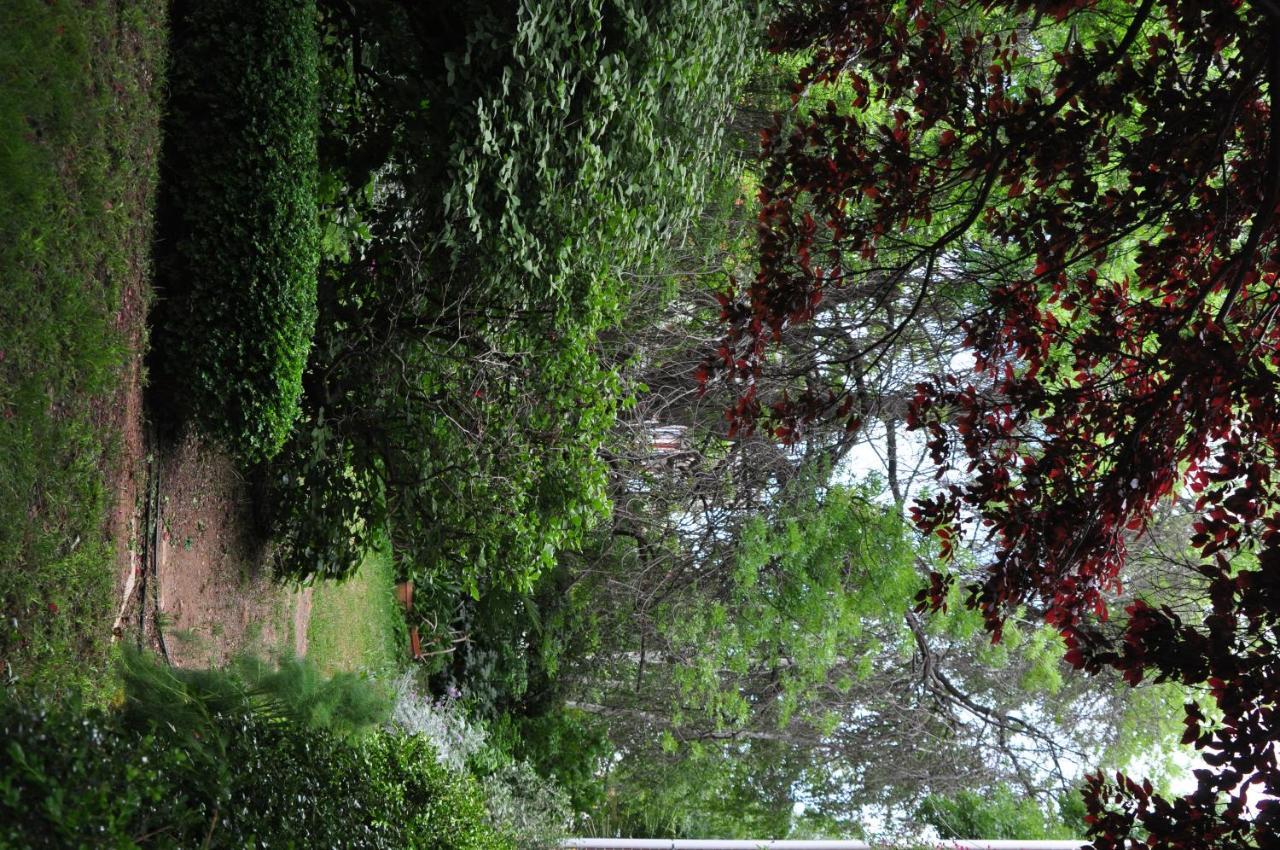 Holmhurst Guest House Bathurst Luaran gambar
